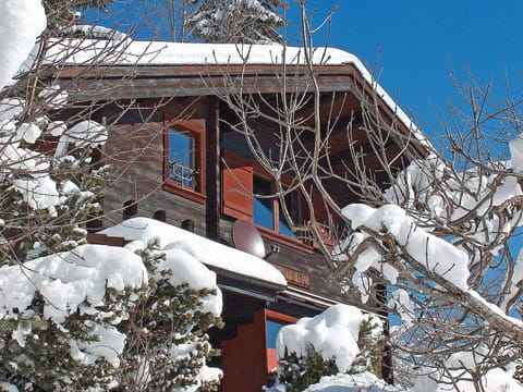 Snow, Winter, Freezing, Geological Phenomenon, Property, House, Tree, Architecture, Ice, Branch