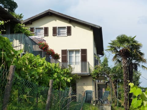 Plant, Sky, Building, Window, Cloud, House, Tree, Land Lot, Cottage, Neighbourhood