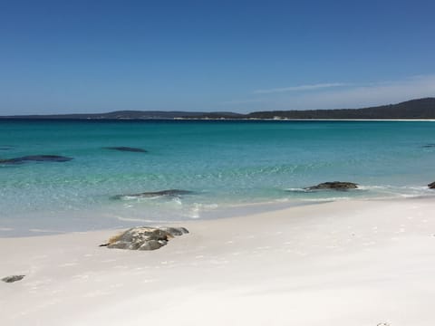 Beach nearby, fishing