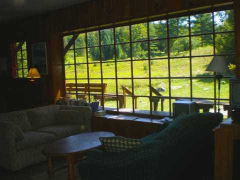 Fireplace, books