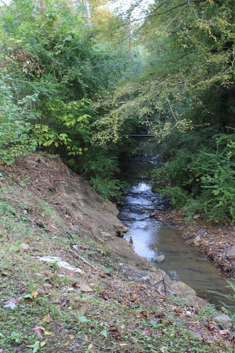 Creek on side of the home