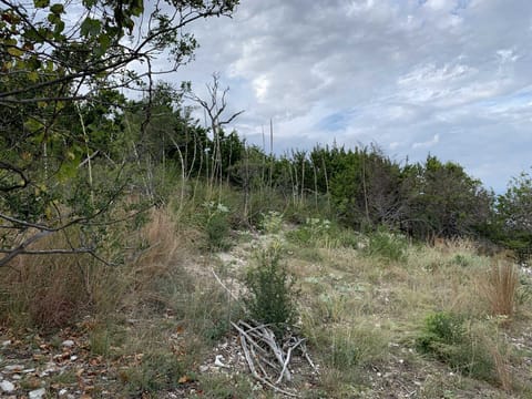 Just ten miles from all this Hill Country glory are Kerrville's shops and night life, as well as tubing on the Guadalupe River!