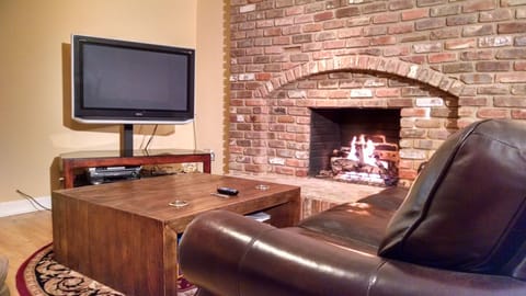 Living room | TV, fireplace, DVD player, books