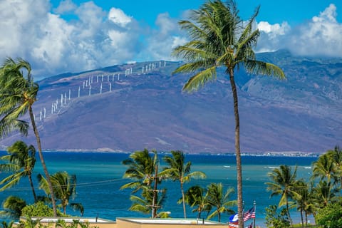 Beach/ocean view