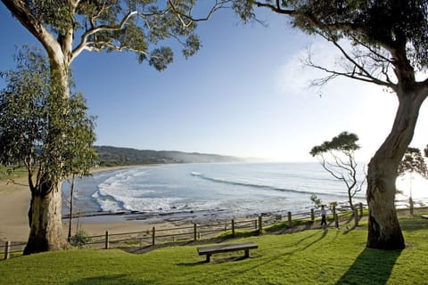 Sun loungers, beach towels