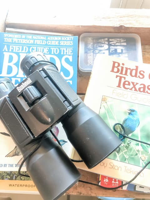 Excellent area for bird-watching!