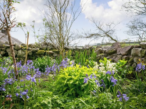 Garden | Tankey Lake Farm- Teal, Mallard - Tankey Lake Farm, Llangennith, near Swansea