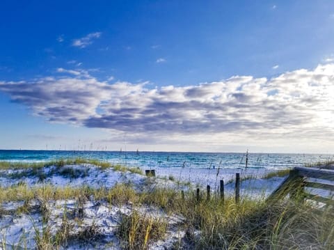 Beach nearby, beach towels, beach bar