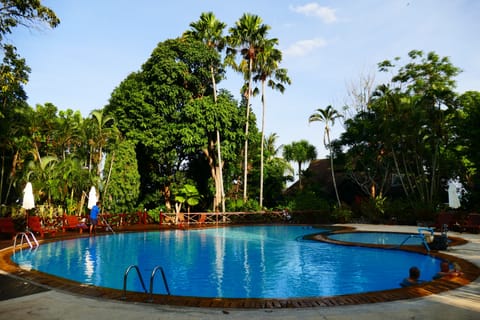 Masssive communal pool with kiddy pool, surrounded by palms and orchids.
