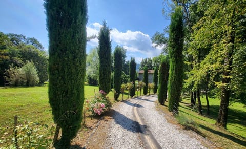 Approach to the property