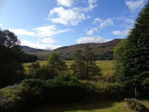 View from the garden