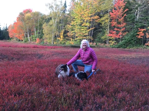 our blueberry fields in Sept Helen and Opa and Juno