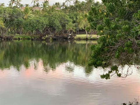 Take a walk amongst the fishponds