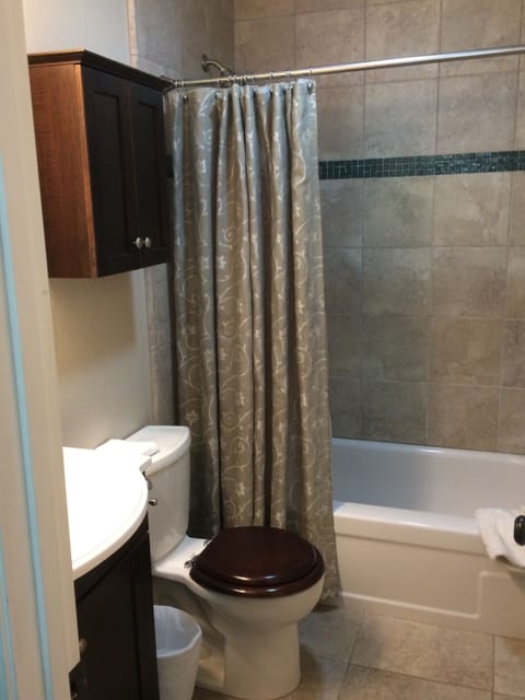 Combined shower/tub, hair dryer, towels