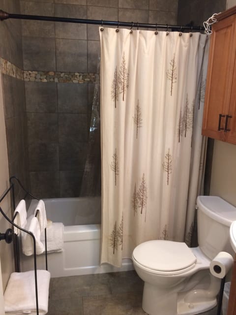 Combined shower/tub, hair dryer, towels