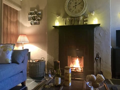 Cosy lounge with open fire