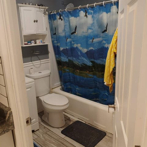 Combined shower/tub, towels, toilet paper