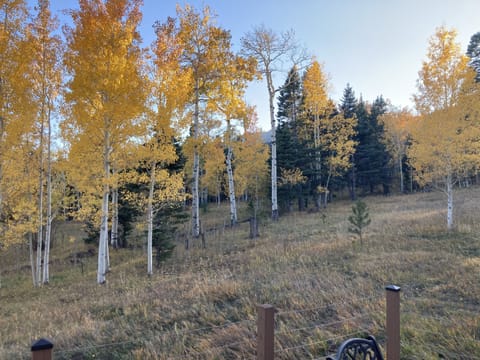 Deck view in late September and early October.
