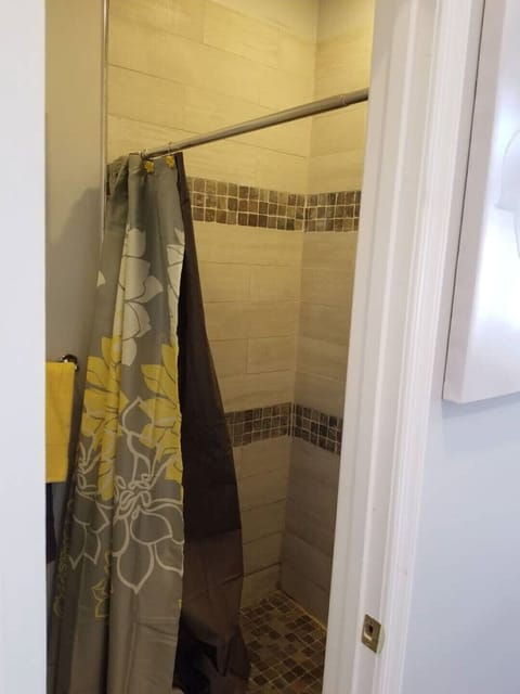 Combined shower/tub, hair dryer, towels, soap