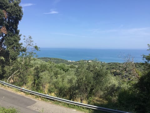 Beach/ocean view