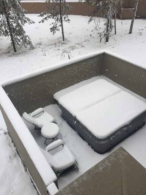 Combined shower/tub, hair dryer, towels, toilet paper