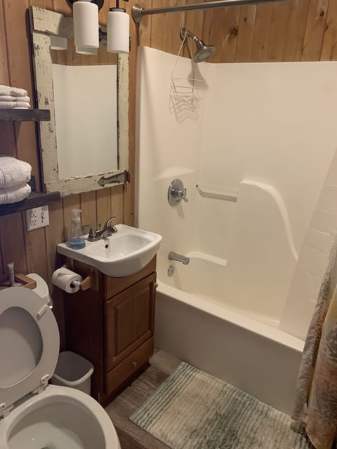 Combined shower/tub, hair dryer, towels, soap