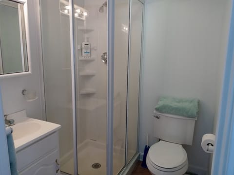 Combined shower/tub, hair dryer, towels, soap