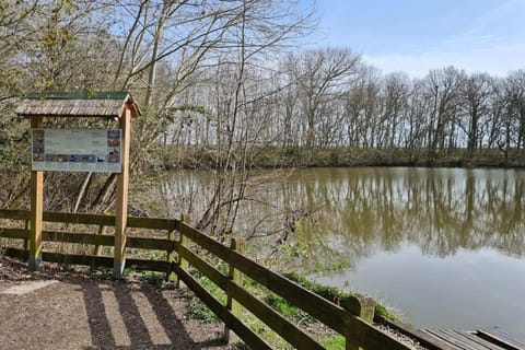 Region [summer] (&gt;5 km)