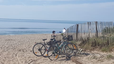 On the beach