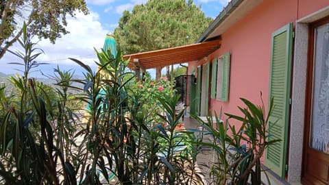 Villa Giuliana, garden and external square.