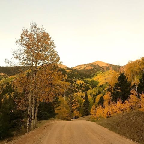 Early fall views on the road just outside the cabin.