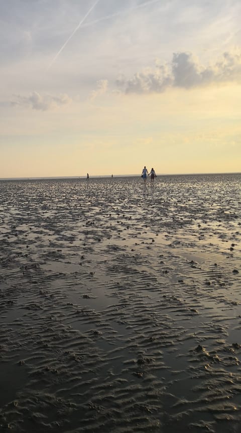 Beach nearby, sun loungers