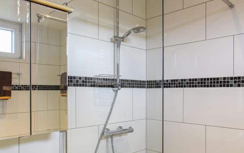 Combined shower/tub