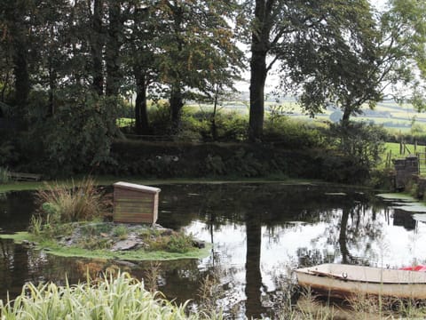 Tranquil pond area | The Orchard, The Farmhouse, The Carthouse - Morlogws Farm Holiday Cottages, Capel Iwan, near Newcastle Emlyn
