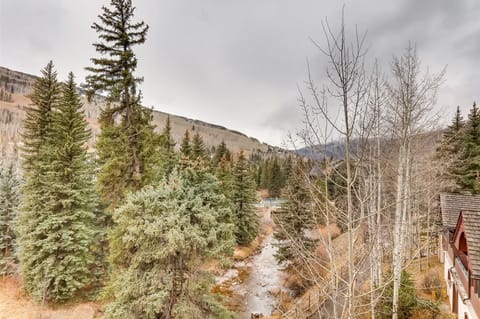 Vail Village with Mountain Views
