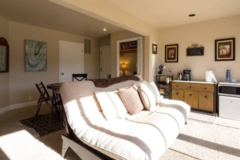 Queen futon with memory foam topper in living room.