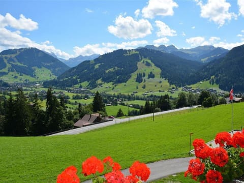 Flower, Cloud, Plant, Sky, Mountain, Ecoregion, Green, Natural Landscape, Nature, Natural Environment