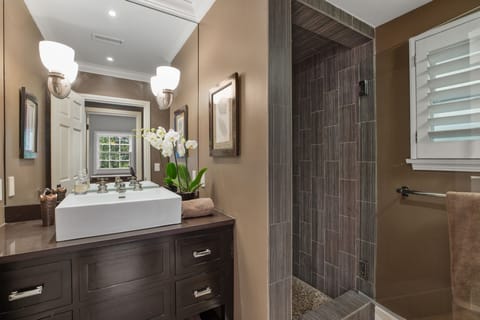 Bathroom off entertainment room, with shower