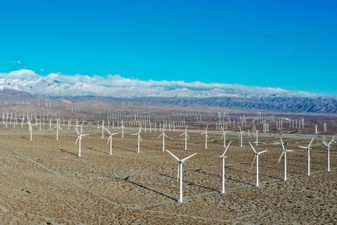 Walk to view the windmills of San Gorgonio Pass