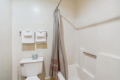 Combined shower/tub, hair dryer, towels