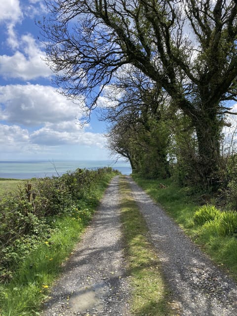 The path to the beach