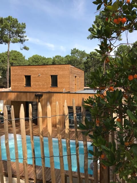 Outdoor pool, a heated pool, sun loungers