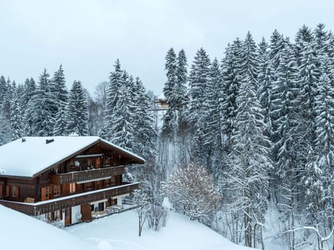 Snow, Tree, Branch, Wood, Winter, Home, House, Cottage, Roof, Freezing