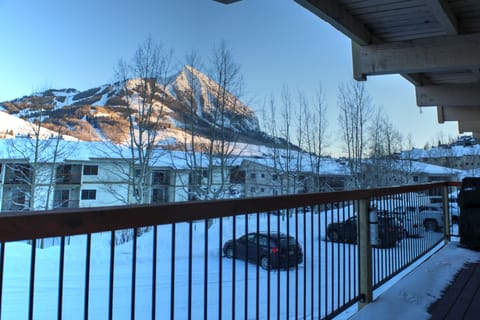 Outrun J3, Crested Butte Vacation Rental - Outrun J3, Crested Butte Vacation Rental