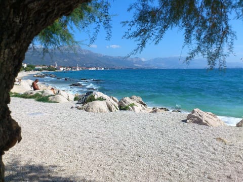 Sun loungers, beach towels