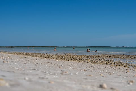 Sun loungers, beach towels