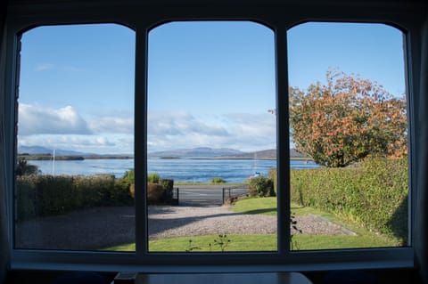 Livingroom window views