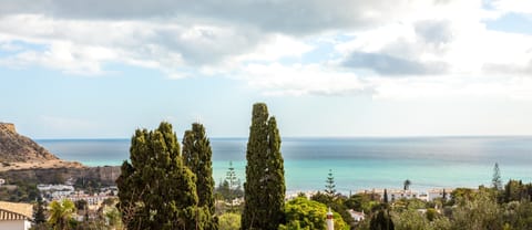 Beach/ocean view