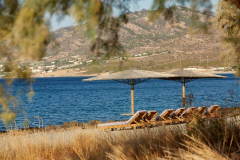 On the beach, sun loungers, beach towels