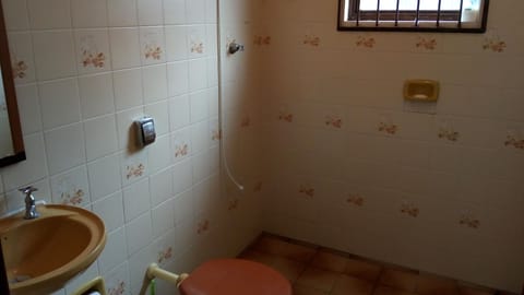 Shower, bidet, soap, toilet paper